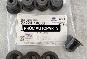 PHỐT GIS XU PÁP D4CB H150/N250/K250