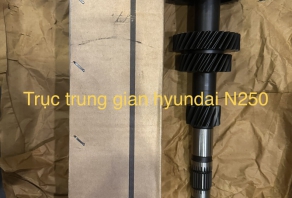TRỤC TRUNG GIAN N250
