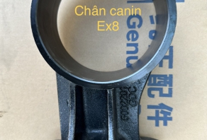 CHÂN CANIN EX8