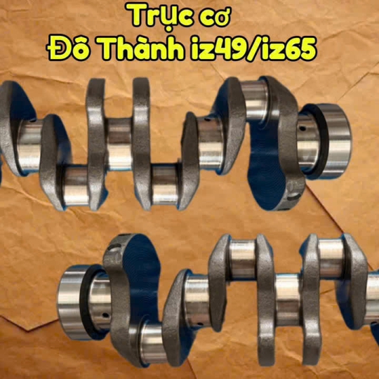 TRỤC CƠ IZ49 / IZ65 