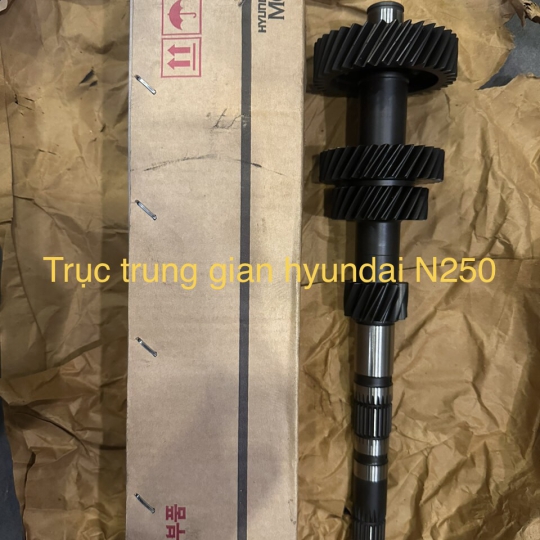 TRỤC TRUNG GIAN N250
