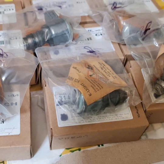 VAN GIỚI HẠN ÁP SUẤT ỐNG RAIL EX8GTL