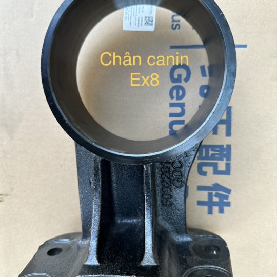 CHÂN CANIN EX8